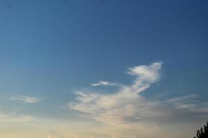 White clouds in blue sky cirrus clouds on a blue background. White and Blue Natural Background photo