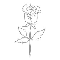 Rose Flower Drawn With One Continuous Line vector