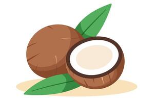 Coconuts with a leaf - a whole and a half-sectioned coconut. vector