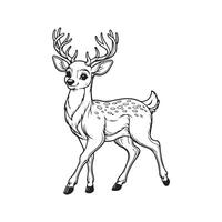 Beautiful Deer Line Art Vectors Illustrations for Posters and Decor