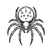 Spider Line Art Vectors for Horror Films, Web Designs, and Digital Projects