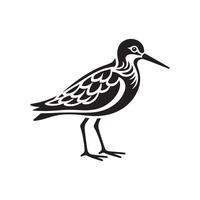 High-Quality Sandpiper Silhouette Vectors for Nature and Travel Graphics