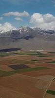 Drone view over farmland against snowy mountain video