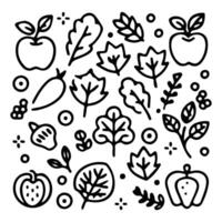 Set of natural tree fruit and leaf icon and pattern art vector