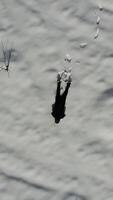 drone image of man jumping in snow video