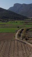 drone view of farmland in the valley video