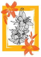 Tiger Lily poster design. Hand drawn flowers in outlined line art illustration. A4 format ready for print or online projects. vector
