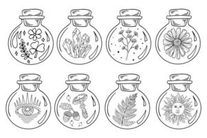 Circle jars set with witchcraft symbols. Flowers, crystal, fern, sun and leaves in bottles line art. vector