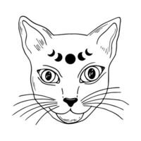 Witch cat with moon phases. Witchcraft line art illustration. Modern witchcraft illustration. vector