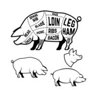 Butcher diagram, scheme and guide - Pork cuts. Set of pig silhouettes isolated on white background vector