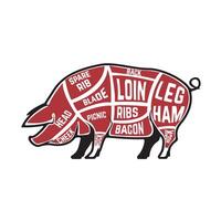 Butcher diagram, scheme and guide - Pork cuts. Pig silhouettes isolated on white background vector