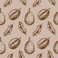 Seamless pattern with durian fruit and leaf. Hand drawn repeating background with tropical berry with prickly shell native to Malaysia. Design for textile, print, wrapping, label, paper vector