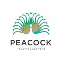 love and peacock with colorful. eps 10 design template vector