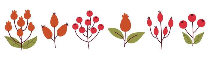 Cute cartoon autumn branches with berries. Rosehip and rowan branch. Autumn harvest collection of elements. vector