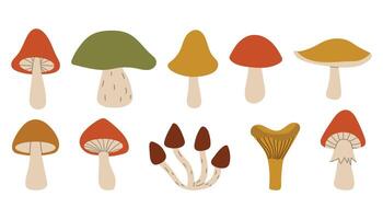 Cute cartoon autumn mushrooms collection. Fall forest mushrooms harvest in simple flat style. vector