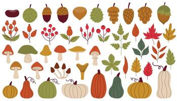 Big set of cartoon autumn design elements in flat style. Nuts and cones, mushrooms and berries, pumpkins and leaves. Fall harvest collection. vector