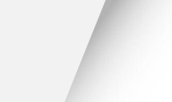 abstract white gray line background vector