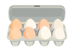 Eggs in packaging. Open egg box. isolated illustration vector