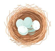 Nest with blue eggs top view. isolated illustration vector