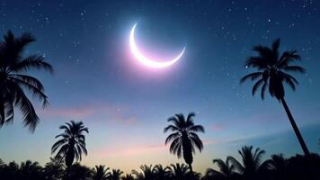 The crescent moon is seen in the sky above palm trees video