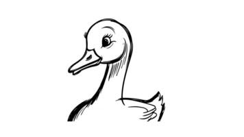 Animation forms a sketch of a swan icon video