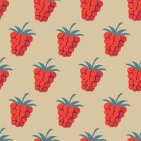 Raspberry seamless pattern background for packaging and decoration vector