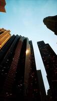 vertical format of looking directly up at the skyline of the financial district video