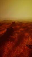 Barren Landscape Depicted in a Computer Generated Creation video