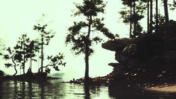 pristine mountain oasis, with a glistening lake and fragrant pine forests video