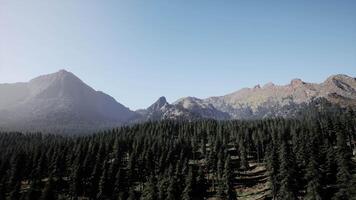A view of a mountain range with trees in the foreground video