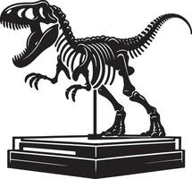 Dinosaur Velociraptor Bones in Museum. vector