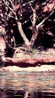 The reflection of the mountains in the River video