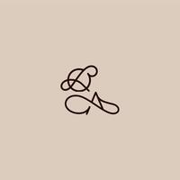 wedding typography monogram luxurious organic style and elegant concept QA dynamic line initial letter vector