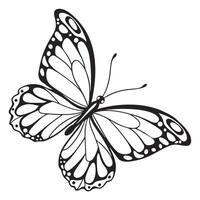 a silhouette line art of a butterfly with intricat vector