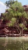 The reflection of the mountains in the River video