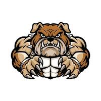 bulldog muscular fierce attacking with claws design logo illustration vector
