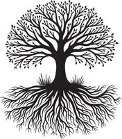 Iconic tree with roots shape shadow against a white backdrop vector