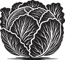 Farm-fresh cabbage shape design isolated on white vector