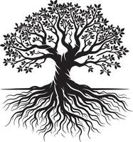 Massive tree with roots shadow illustration on white vector