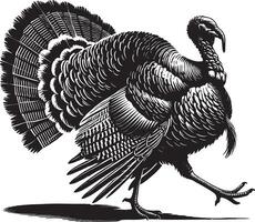 Refined turkey animal design on a pure white background vector