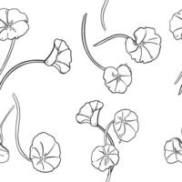Centella asiatica in botanical style black white seamless pattern. Geranium hand drawn. Pennywort on monochrome repeat texture. Gotu kola greenery endless background for package, textile vector