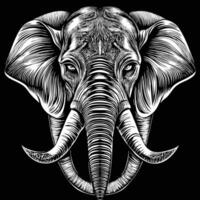 designs an elephant head in a black and white drawing vector