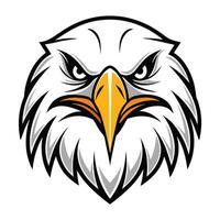 an eagle head with a large beak and a yellow beak vector