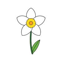 Stunning Daffodil Artwork for Invitations and Branding vector