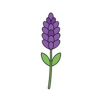 Beautiful Lavender Flower Design for Digital and Print Media vector