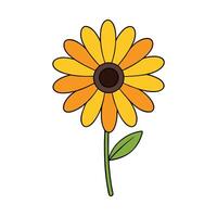 Stunning Rudbeckia Flower Graphics for Digital and Print Media vector