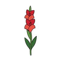 Beautiful Gladiolus Flower Design for Digital and Print Artwork vector