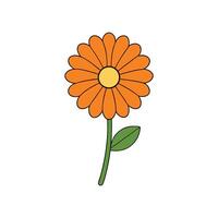 Elegant Calendula Flower Design for Creative Projects vector