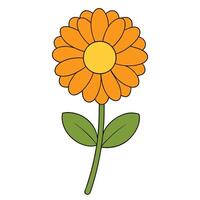 Unique Calendula Flower Design for Digital and Print Artwork vector