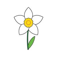 Beautiful Daffodil Graphics for Creative Projects vector